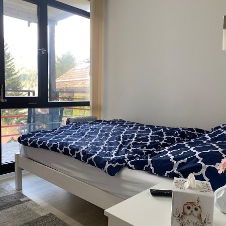 Kleines Einzimmer-Apartment 23 Bad Wildbad Esterno foto