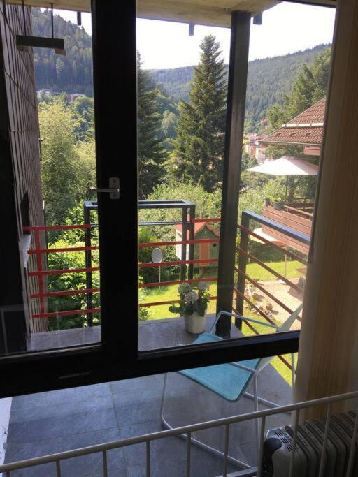 Kleines Einzimmer-Apartment 23 Bad Wildbad Esterno foto