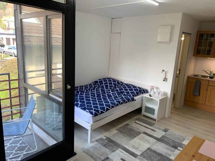 Kleines Einzimmer-Apartment 23 Bad Wildbad Esterno foto